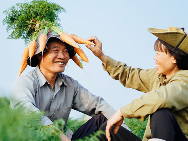 Bộ ảnh trên cánh đồng cà rốt của cặp vợ chồng nông dân gây sốt ngày 14/2