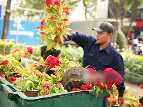 Clip: Không bán hết hàng trưa 30 Tết, nhiều tiểu thương tự tay đập nát chậu hoa, vứt vào thùng rác