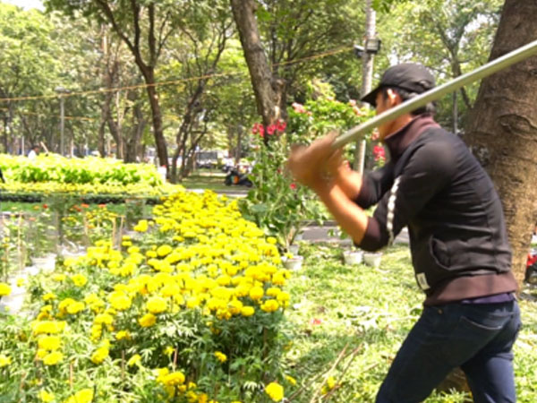 Video: Người bán phá nát cây cảnh phản đối 'thói quen xin hoa giờ cuối'