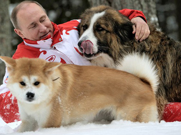Chó cưng của Tổng thống Putin