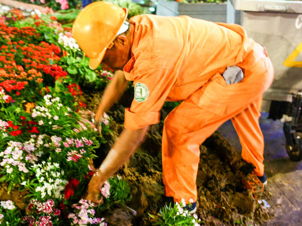 Nhiều người chờ đến khuya để xin hoa đêm bế mạc đường hoa Nguyễn Huệ