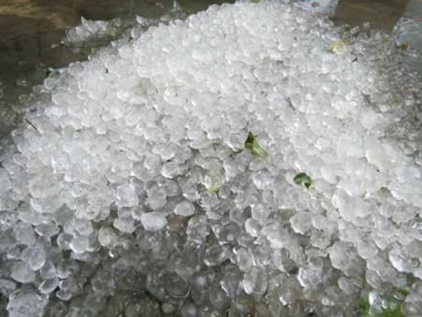 Mưa đá to bằng hạt ngô xuất hiện trong ngày đầu năm ở Nghệ An