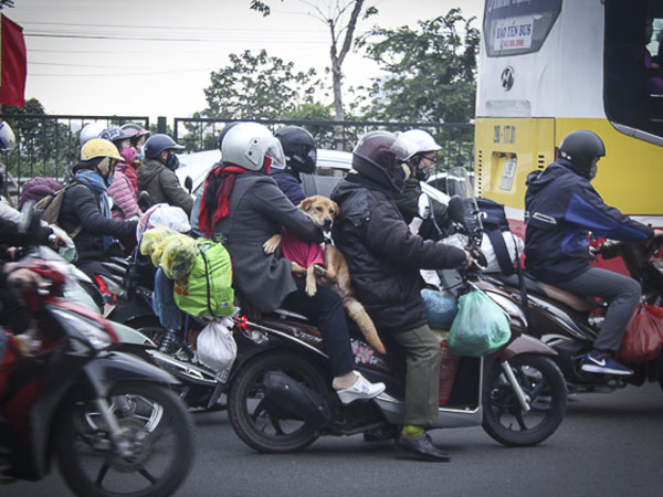 Muôn kiểu vận chuyển... trên xe máy lên Thủ đô