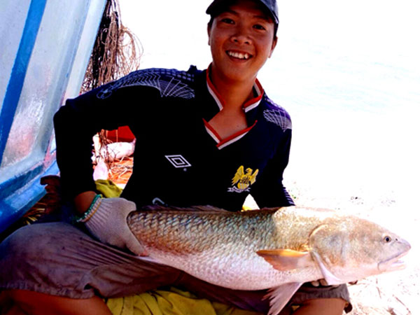 Cá 6 kg nghi sủ vàng quý hiếm ở miền Tây