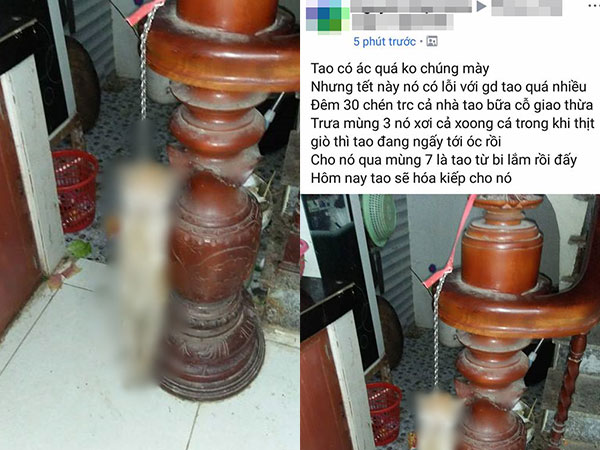 Nam thanh niên treo ngược chú mèo trên cầu thang vì ăn vụng ngày Tết khiến cộng đồng mạng bức xúc