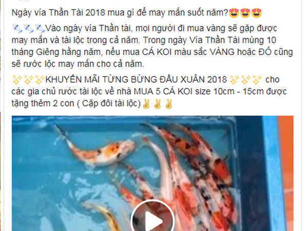 Shop bỉm sữa, cá koi khuyến mãi ăn theo ngày vía Thần Tài