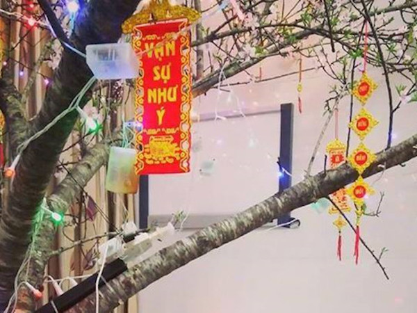 Giao thừa ám ảnh của nữ sinh trường y