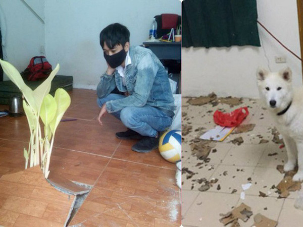 Lên phòng trọ sau kỳ nghỉ Tết, chàng trai ngỡ ngàng vì vật thể lạ xuất hiện giữa nhà