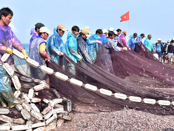 Ngư dân trúng đậm 'lộc biển' đầu năm