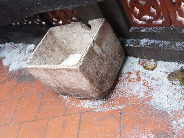 Hà Nội: Người dân vô tư rắc muối, gạo ngay trước biển cấm ở đền Và