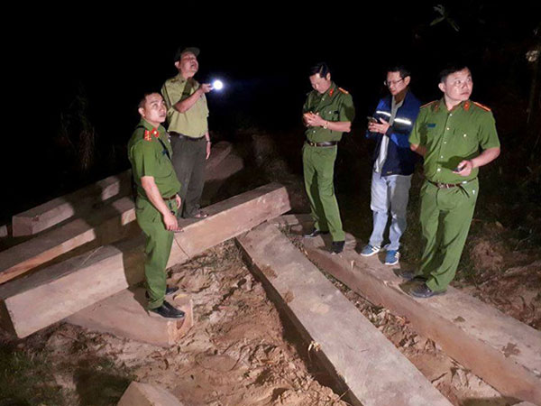 Lâm tặc bỏ lại 5 xe gỗ lậu khi bị phát hiện