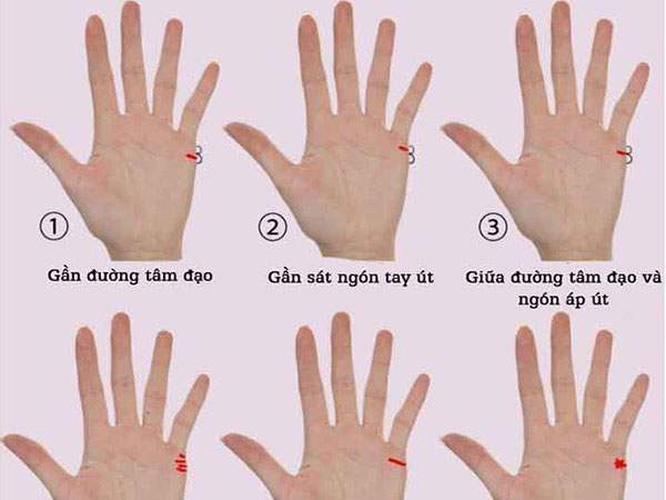 Từ đường chỉ tay hôn nhân dự đoán chuyện tình duyên tương lai của bạn