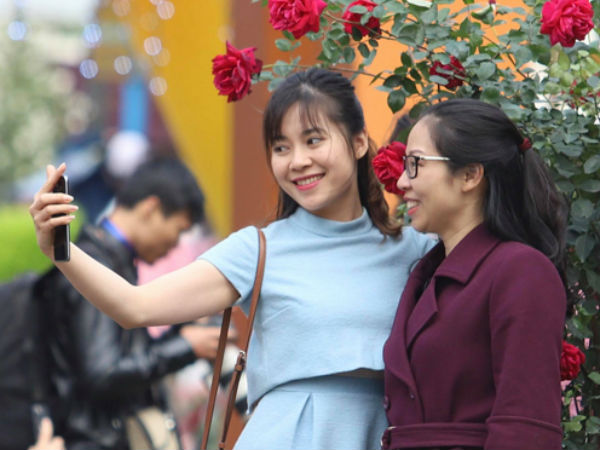Đón gió mùa, Bắc Bộ lạnh đến cuối tuần