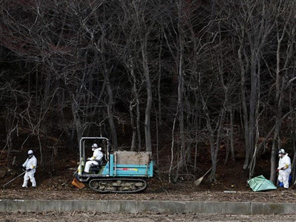 Nhật điều tra vụ người Việt bị lừa dọn rác phóng xạ ở Fukushima