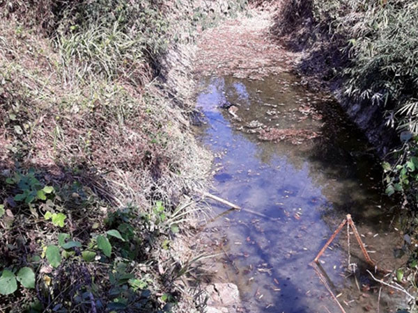 Phát hiện thi thể người đàn ông chết bất thường tại hồ nước