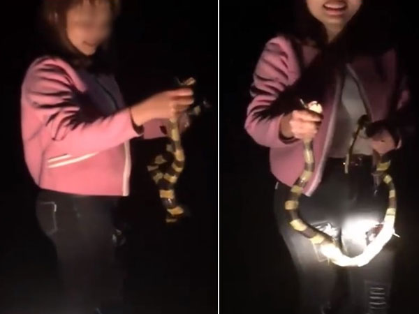 Clip: Cô gái thản nhiên dùng tay không bắt rắn cạp nong cực độc ngay giữa đường khiến nhiều người thót tim sợ hãi