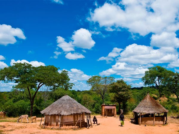 Bắt giữ hai phụ nữ ăn thịt người ở Zimbabwe