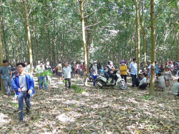 Lời khai 'lạnh gáy' của nghi can hiếp, giết bé gái 4 tuổi: 'Một ngày sau khi bỏ xuống giếng bé gái vẫn sống sót'