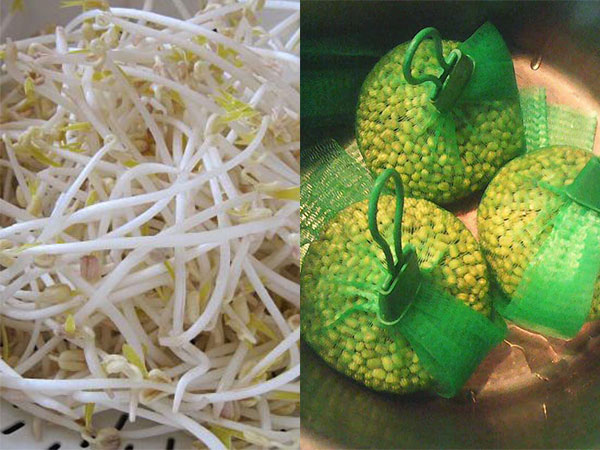 Mẹ Hà Nội mách cách làm giá đỗ cực nhàn cho người 'lười' chỉ bằng chiếc túi lưới bọc quả