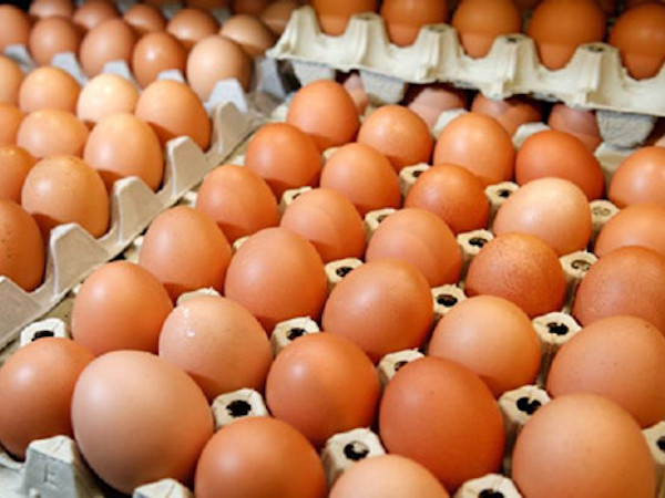 Thưởng nhân viên bằng trứng vì siêu lạm phát ở Venezuela