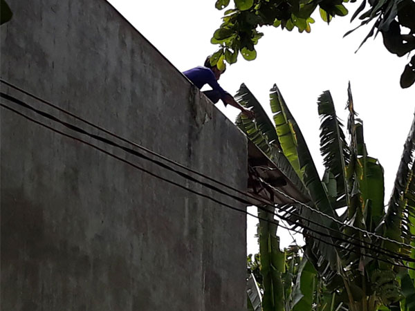 Nam thanh niên nghi ngáo đá leo lên nhà dân cố thủ nhiều giờ, cầm gạch chống trả công an