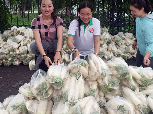 Giải cứu củ cải ở Hà Nội, 25.000 đồng một túi 5 kg