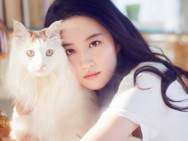 Nổi tiếng hiền lành nhưng Lưu Diệc Phi cũng phải lên tiếng khi bị tố chảnh chọe, mắc bệnh ngôi sao