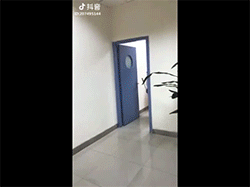 Cư dân mạng 'sốt xình xịch' với trào lưu Tây Du Ký