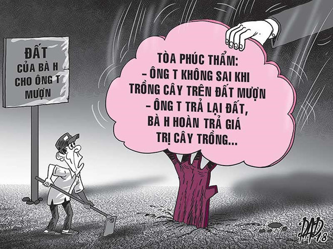Đòi cả vườn nhưng được trả 420 cây mít