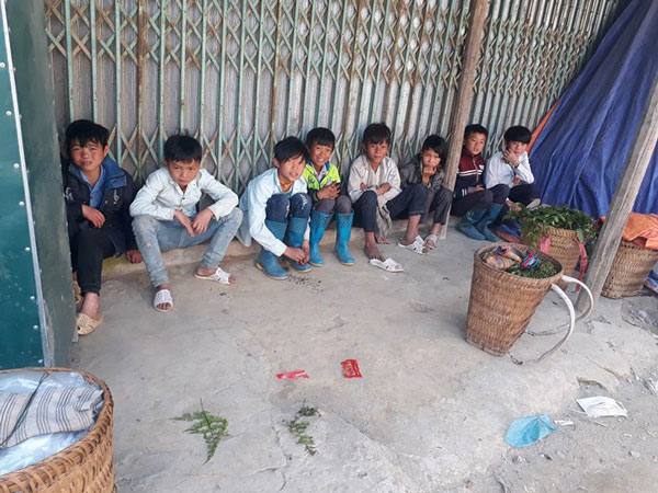 Đồn là 'rau trường sinh', thương lái Trung Quốc đổ xô mua rau dớn