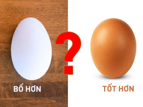 Ảnh bìa bài viết 526651