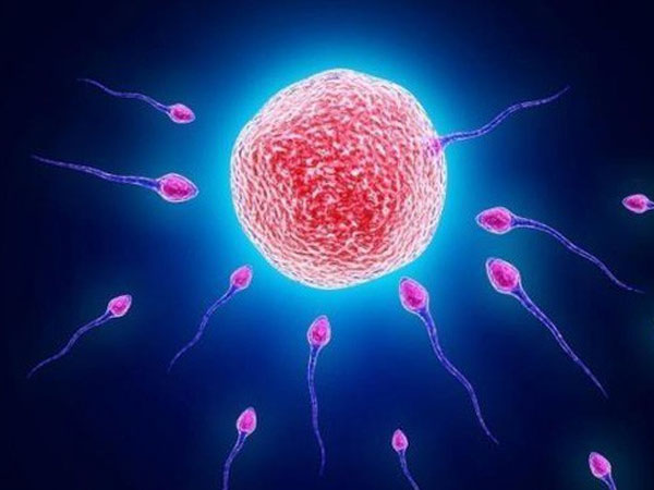 3 nhóm người có chất lượng tinh trùng tốt nhất: Hãy xem có bạn không?