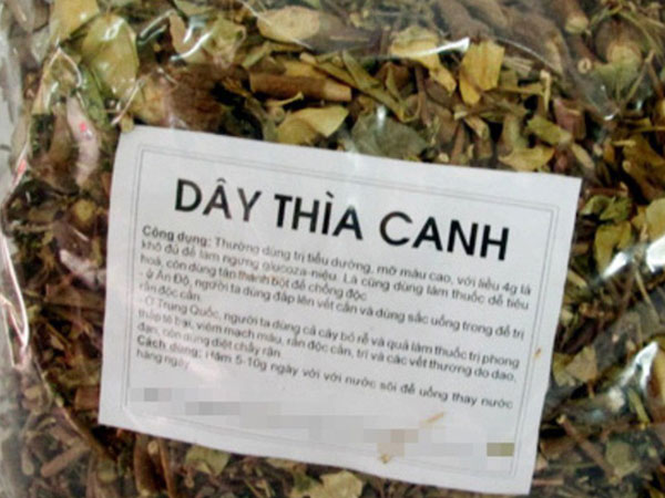 Đổ xô mua dây thìa canh trị tiểu đường: Coi chừng tiền mất tật mang vì mua dược liệu rởm