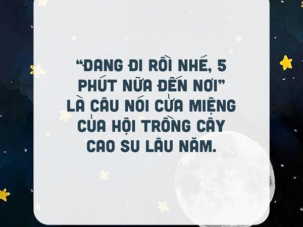 Đây chắc chắn là những câu nói dối quen thuộc nhất mà các bạn từng được nghe, dù cá tháng Tư có tồn tại hay không