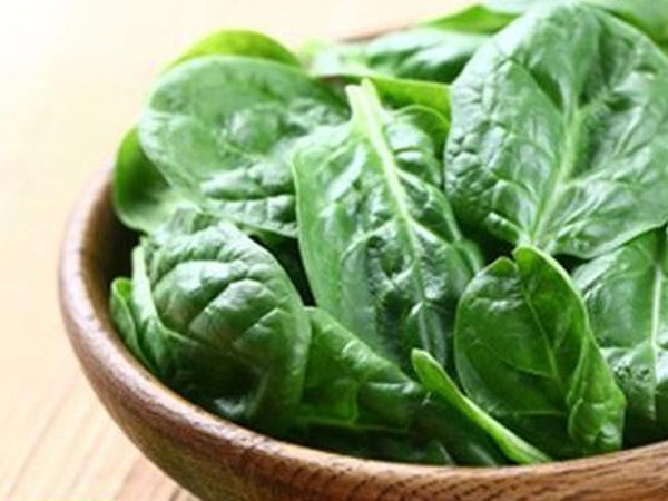 Hay ăn mồng tơi nhưng liệu bạn đã biết được tất cả công dụng của loại rau tuyệt vời này