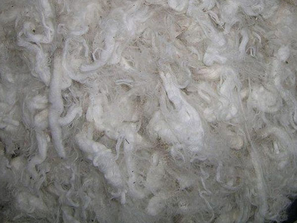 Ảnh bìa bài viết 527755