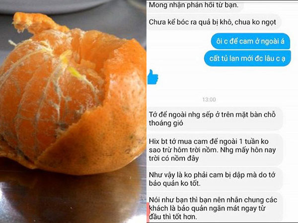 Chủ shop muốn vái khách mua cam, hồng xiêm chín không cho tủ lạnh, để ở ngoài 5 ngày bị thối rồi quay ra bắt đền