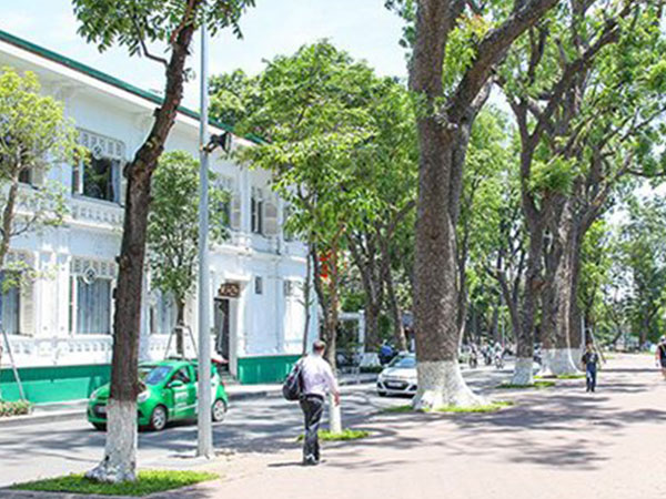 Dự báo thời tiết 3/4: Hà Nội sắp trở lạnh kèm mưa dông