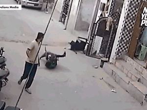 Video: Đám đông hợp sức cứu bé trai bị chó cắn xé
