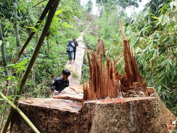 Quảng Nam: Hàng loạt cán bộ bị đình chỉ công tác