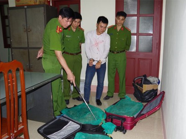 3 valy kéo đầy rắn hổ mang vận chuyển từ Sài Gòn ra Hà Nội