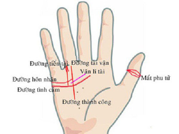 Bàn tay mà có 12 dấu hiệu này, bạn sẽ phú quý giàu sang cả đời, đặc biệt số 10 rất hiếm gặp