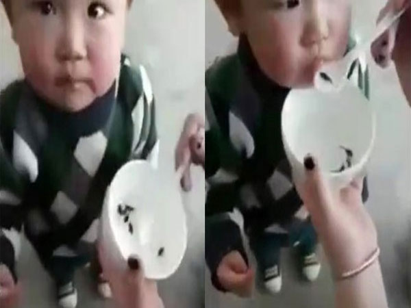 Mẹ cho con ăn nòng nọc sống để khỏe mạnh