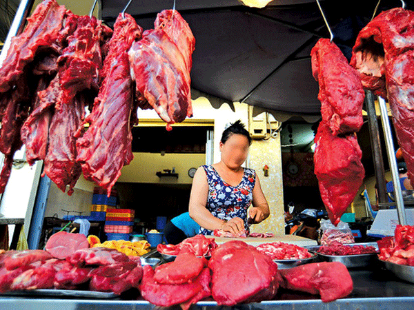 Bò ngoại làm khó bò nội