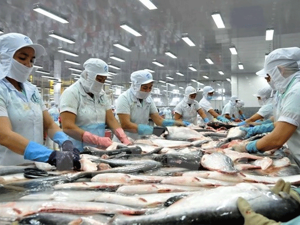 Mỹ áp thuế chống bán phá giá cá tra, tôm Việt Nam thiếu công bằng