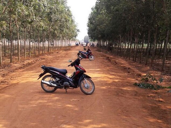 Hai thanh niên đánh chết người đàn ông trong lô cao su bị bắt