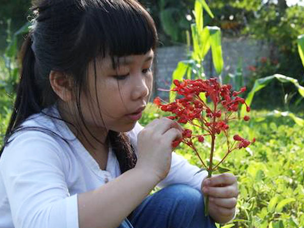 Bài văn viết về bố đạt điểm 10 của cô bé lớp 5