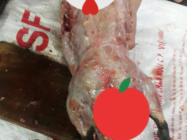 Nàng dâu Sài Gòn mất 2 tiếng 'đánh vật' vặt lông ngan, sạch được lông thì cũng bay hết cả da khiến chị em xôn xao
