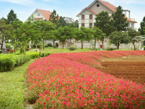 Gần 100 tiện ích tại biệt thự nghỉ dưỡng ngoại ô The Phoenix Garden