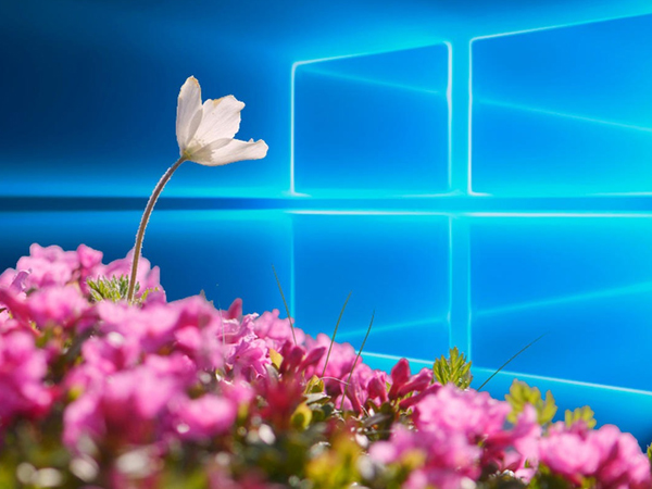 Windows 10 Spring Creators Update sẽ được tung ra trễ hơn dự kiến